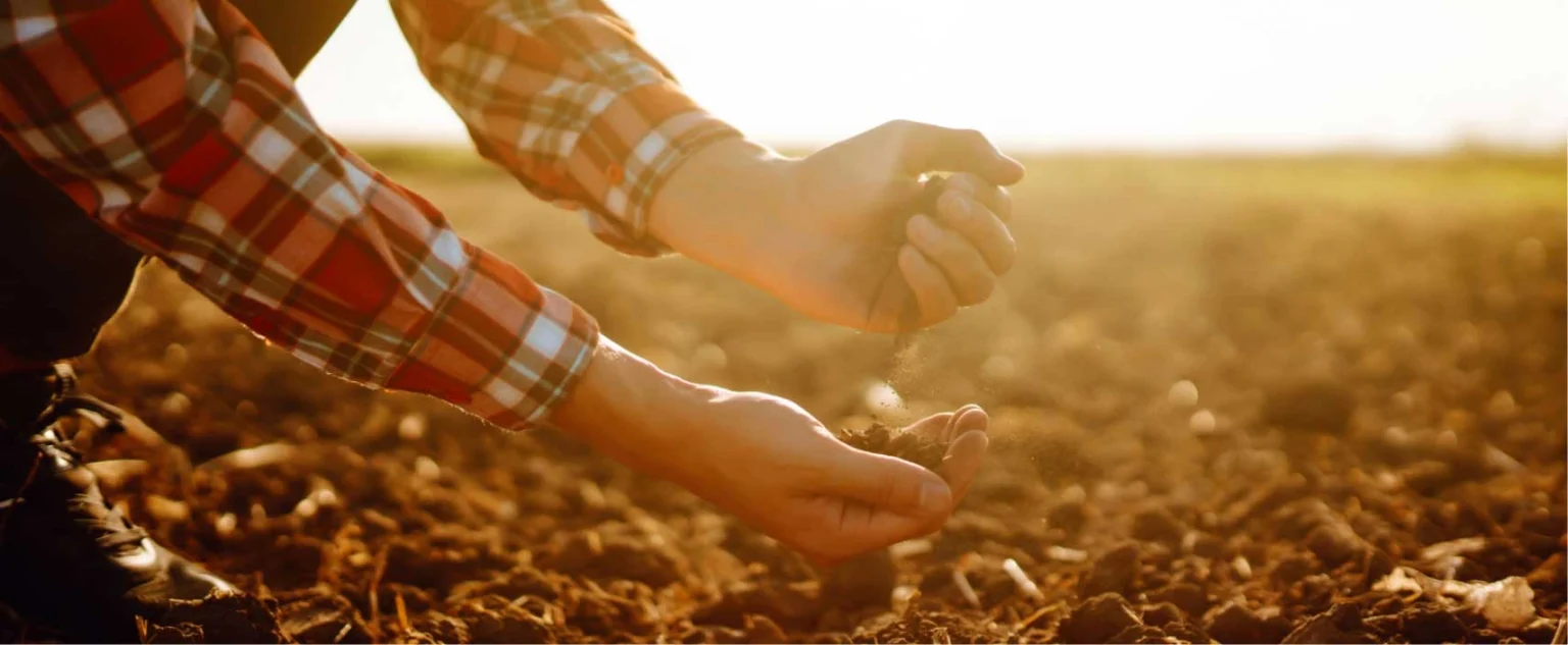 main touchant de la terre